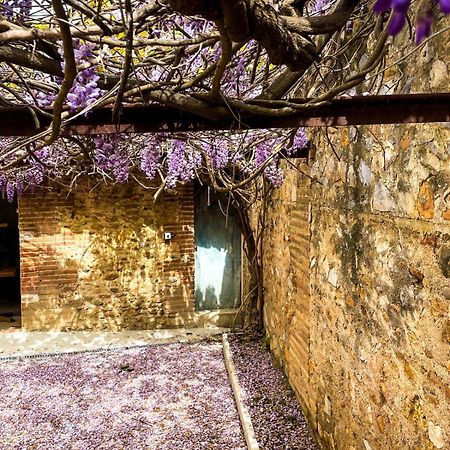 Gite De Charme Du Domaine Pagnon Guillemette Торрей Экстерьер фото