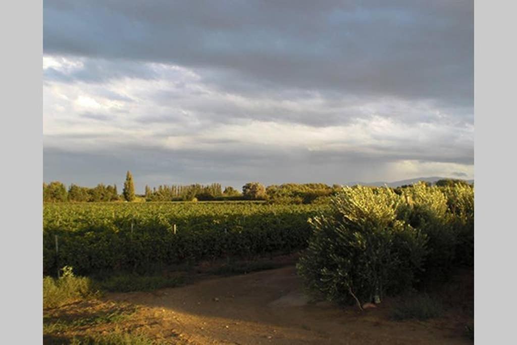 Gite De Charme Du Domaine Pagnon Guillemette Торрей Экстерьер фото