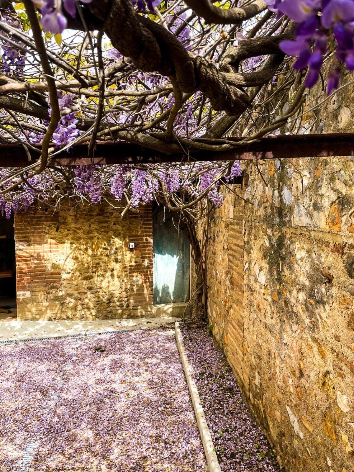 Gite De Charme Du Domaine Pagnon Guillemette Торрей Экстерьер фото
